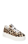 MIU MIU CRYSTAL DETAIL SKATE SNEAKER,5E643C 3L33F 05099