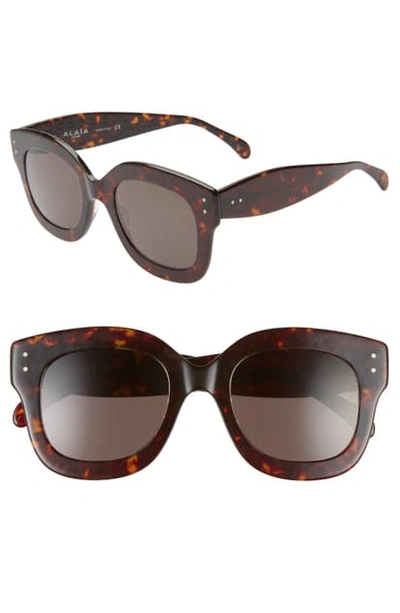 Alaïa 50mm Square Sunglasses - Havana