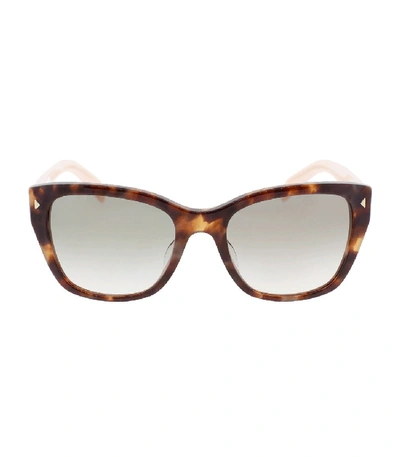 Prada Heritage Spotted Sunglasses In Brown