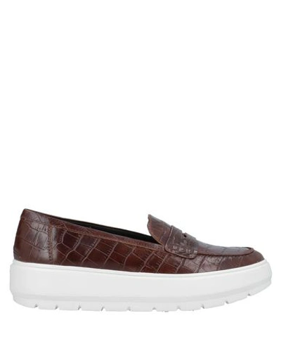 Geox Loafers In Cocoa