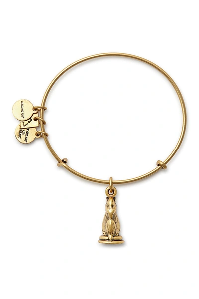 Alex And Ani Knight Charm Expandable Wire Bracelet In Gold Finish
