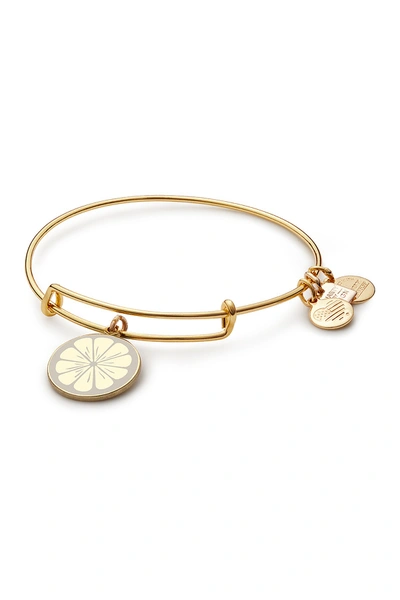 Alex And Ani Zest For Life Ii Charm Expandable Wire Bracelet In Gold