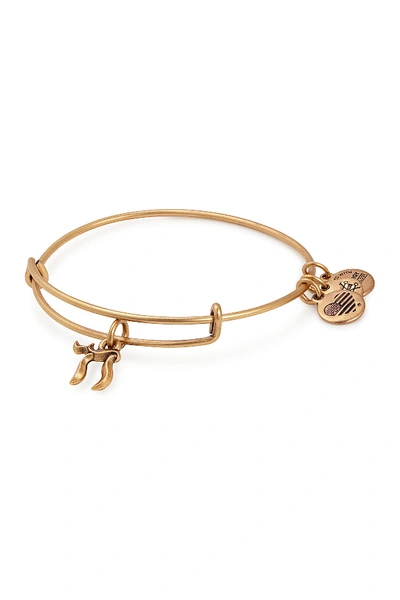 Alex And Ani Chai Charm Bracelet In Gold