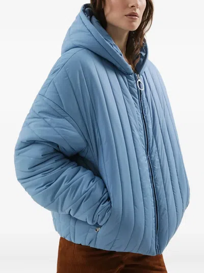 1989 Studio Hooded Bomber Jacket In Blue
