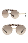 Prada Shield Round 37mm Sunglasses In Gold Brown