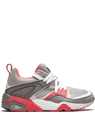 Puma Blaze Of Glory Staple Sneakers In Grey