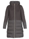 HERNO QUILTED DOWN JACKET,11010550