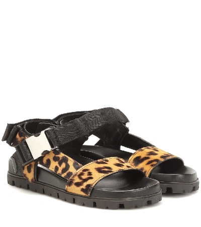 Prada Leopard Print Touch-strap Sandals In Brown,black