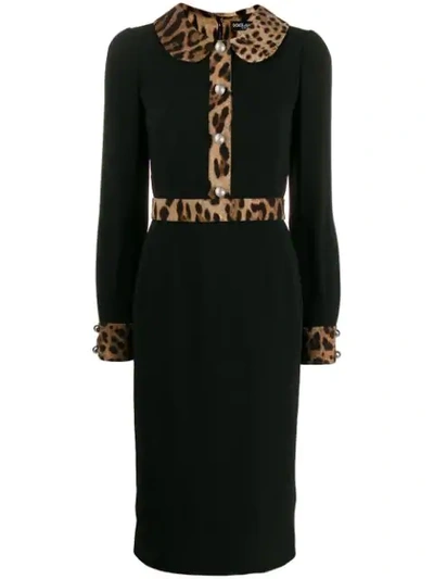 Dolce & Gabbana Leopard Trim Long Sleeve Sheath Dress In Black