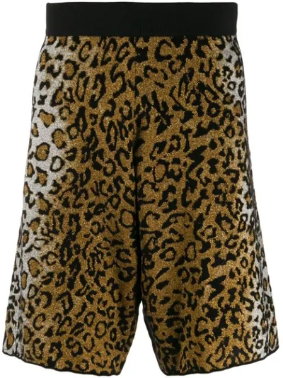 Versace Leopard Jacquard Shorts - 大地色 In A732 Black