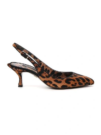Dolce & Gabbana Leopard-print Calf Hair Slingback Pumps In Black