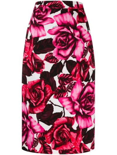 Prada Rose Print Pencil Skirt In Pink