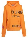 BURBERRY POULTER HOODIE,11012975