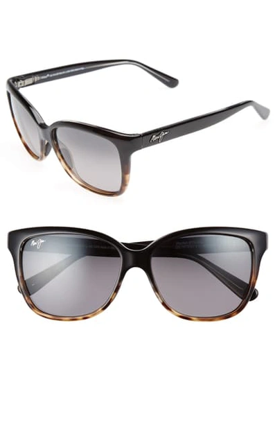 Maui Jim Starfish 56mm Polarized Cat Eye Sunglasses - Black/ Tortoise In Black Tortoise/grey Gradient Polarized