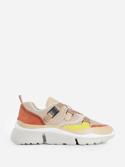 Chloé Sneakers In Pink