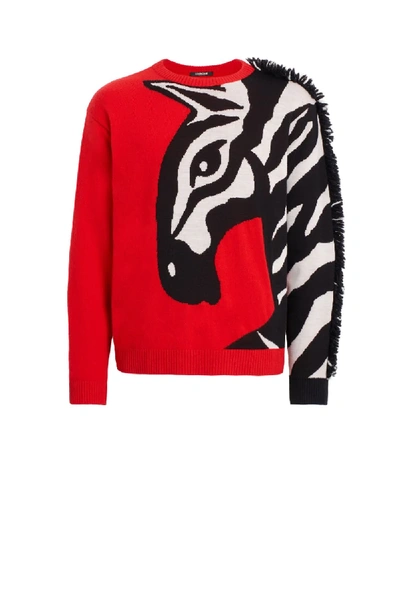Roberto Cavalli Chimera Fringed Sweater In Red