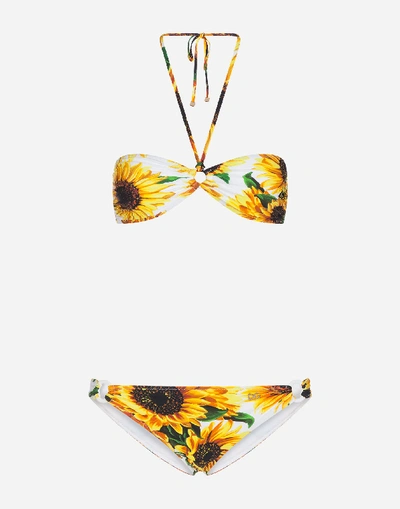 Dolce & Gabbana Sunflower-print Bikini In Yellow