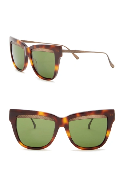 Bottega Veneta 53mm Cat Eye Sunglasses In Avana Bronze Green
