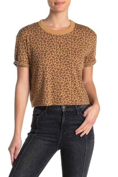 Alternative Cropped Boxy T-shirt In Mini Leopard