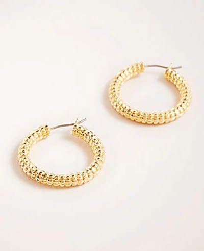Ann Taylor Basketweave Hoop Earrings In Gold