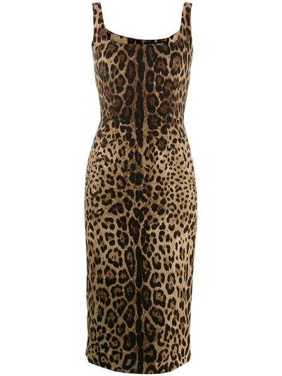 Dolce & Gabbana Leopard-print Silk-blend Charmeuse Midi Dress In Brown