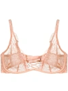 AGENT PROVOCATEUR AGENT PROVOCATEUR AGENT PROVOCATEUR - WOMAN - ESSIE BRA - 大地色