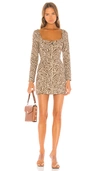 Miaou Printed Dree Mini Dress In Tan Zebra