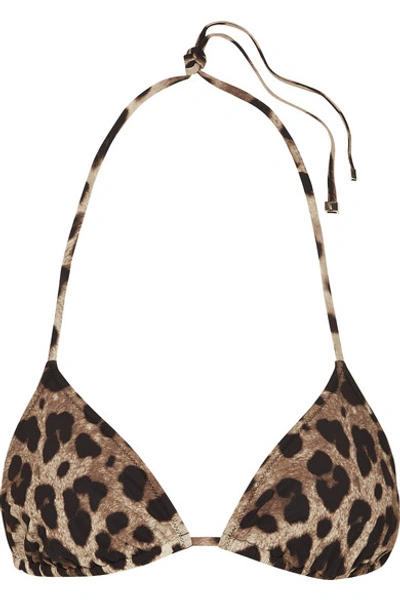 Dolce & Gabbana Leopard-print Triangle Bikini Top In Leopard Print