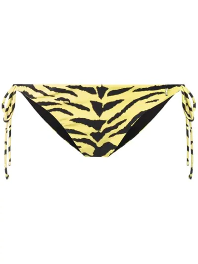 Saint Laurent Zebra-print Bikini Bottoms In Yellow