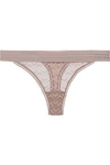 ELSE BOOMERANG LACE-TRIMMED STRETCH-MESH MID-RISE THONG,3074457345620538843