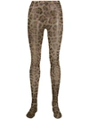 DOLCE & GABBANA leopard print tights