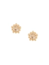 ANZIE ANZIE 14KT YELLOW GOLD MICRO DEW DROP STUDS - 金色