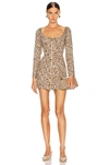 Miaou Printed Dree Mini Dress In Tan Zebra
