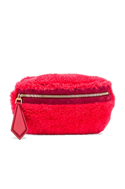 Max Mara Teddy Fanny Pack In Coral