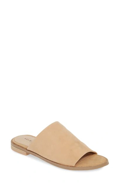 Kelsi Dagger Brooklyn Ruthie Slide Sandal In Tan Suede