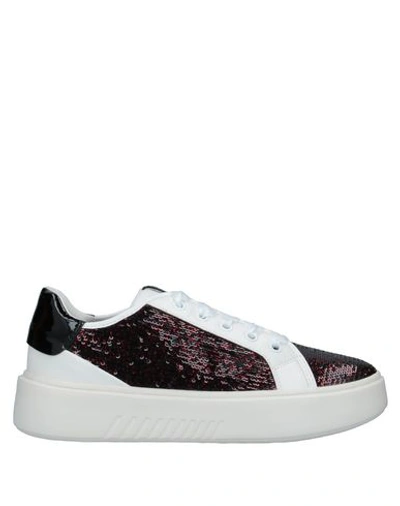 Geox Sneakers In Maroon