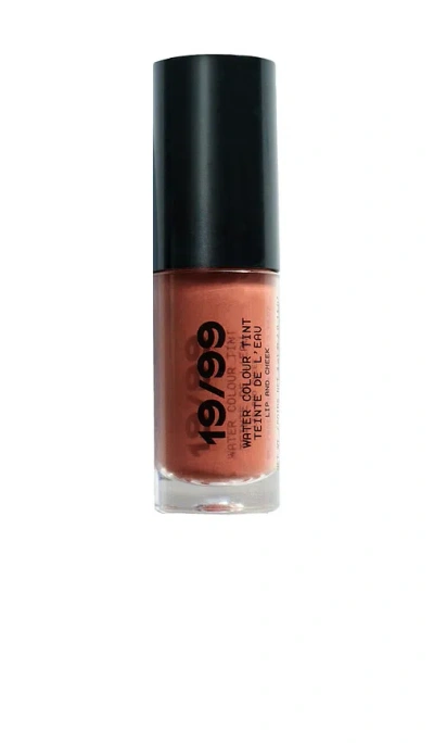 19/99 Beauty Water Colour Tint In Brown
