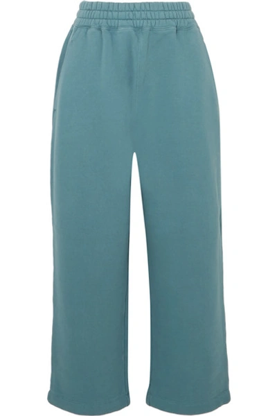 Alexander Wang T Cropped Cotton-jersey Track Pants In Teal