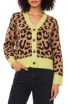 1.state Colorblock Trim Leopard Spot Cardigan In Green