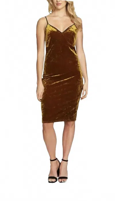 1.state Velvet Slip Strap Dress In Gold In Brown