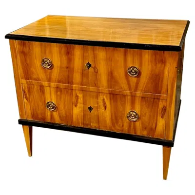 Pre-owned 1stdibs 19th Century German Biedermeier Chest With Ebonized Details In Brown