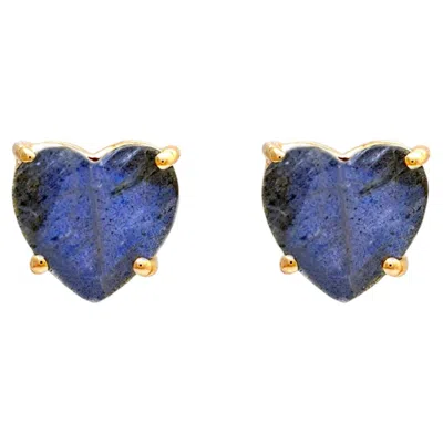 Pre-owned 1stdibs Heart Studs Natural Labradorite Gemstone Earrings Solid 14k Yellow Gold Jewelry