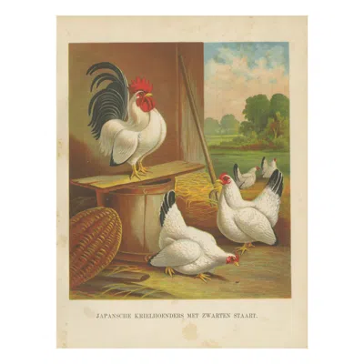 Pre-owned 1stdibs Japanese Bantams With Black Tails - A Rare 19th Century Poultry Lithograph