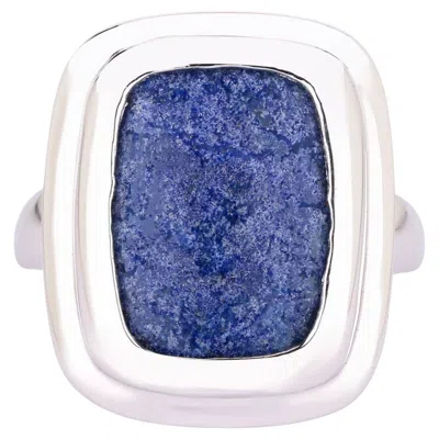 Pre-owned 1stdibs Lapis Ring 14.06 Carats Sterling Silver In Multi