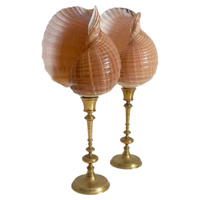 Pre-owned 1stdibs Pair Of Natural Sea Shells On Mid-century Swedish Skultuna Brass Candlesticks In Brown