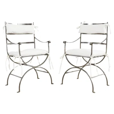Pre-owned 1stdibs Pair Of Neoclassical Style Steel Curule Garden Armchairs In Gray
