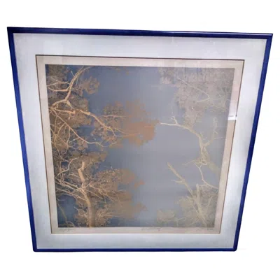 Pre-owned 1stdibs Paula Crane "night Fall" Artist Proof Litho. In Gray