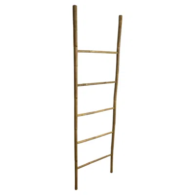 Pre-owned 1stdibs Rustic Bamboo Ladder Rack, Late 20th Century, Eco-friendly Design In Brown