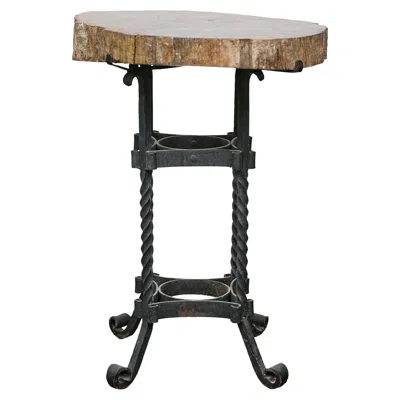 Pre-owned 1stdibs Turn Of The Century French Side Table - Petrified Wood Top And Wrought Iron Base In Brown