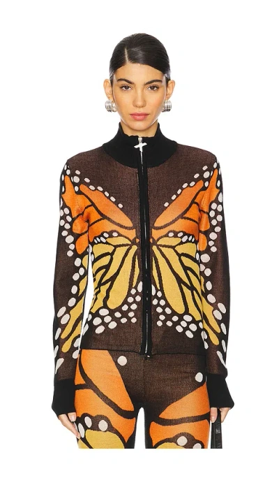 1xblue Butterfly Zip Jumper In Brown
